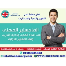 إعداد المدربين وإعداد الحقائب التدريبية والتدريب عبر الانترنت
