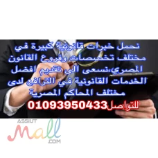 امام  مجمع محاكم جنوب القاهرة