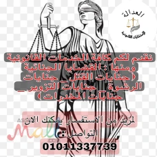 اشهر محامي تخصص قضايا اموال 